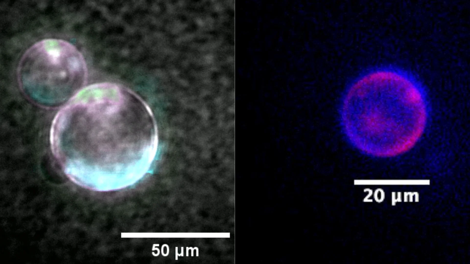 Two images side by side showing different colored spheres