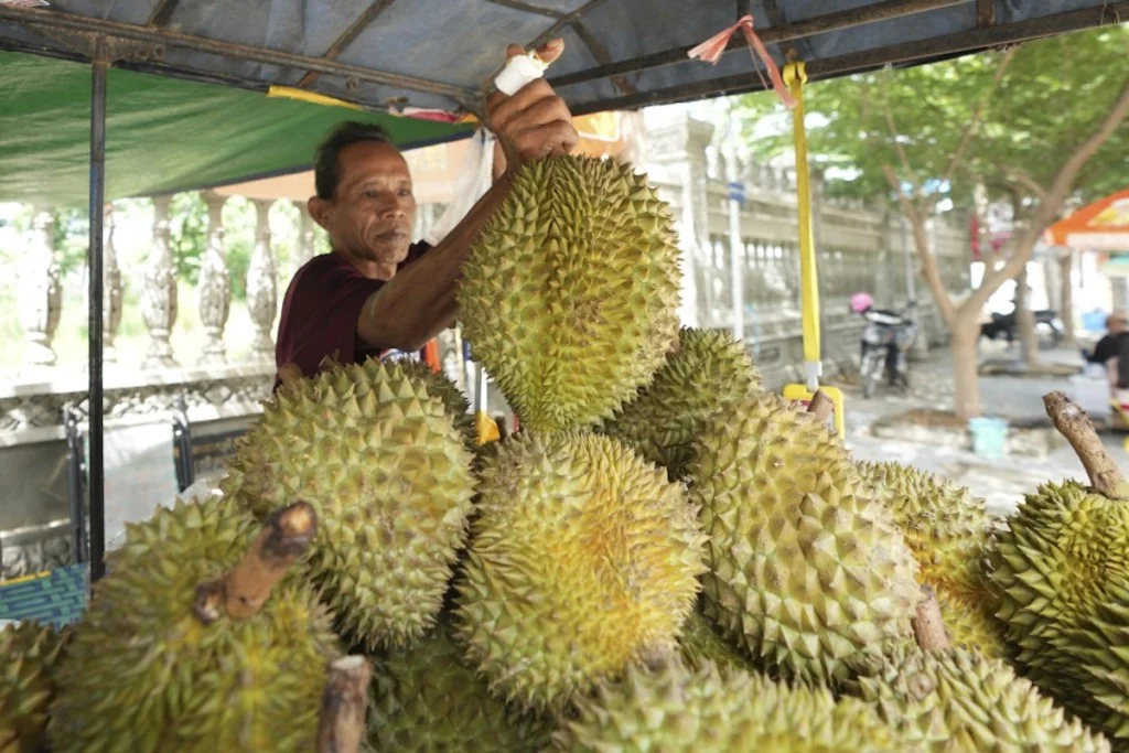 China's Influence: Redefining Agricultural Trade Norms Globally