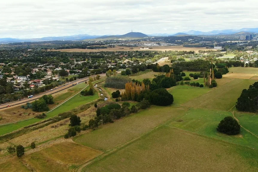 A drone shot of green pastures