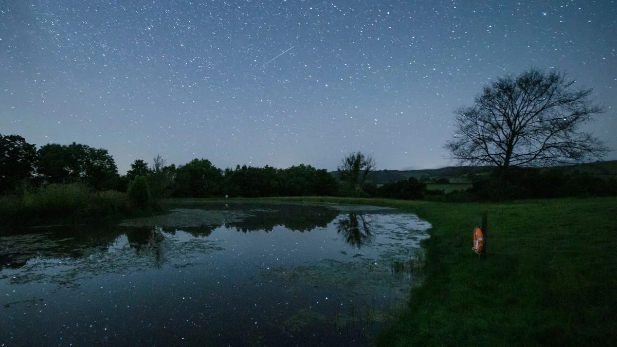 starry sky reflected in a small body of still water below.