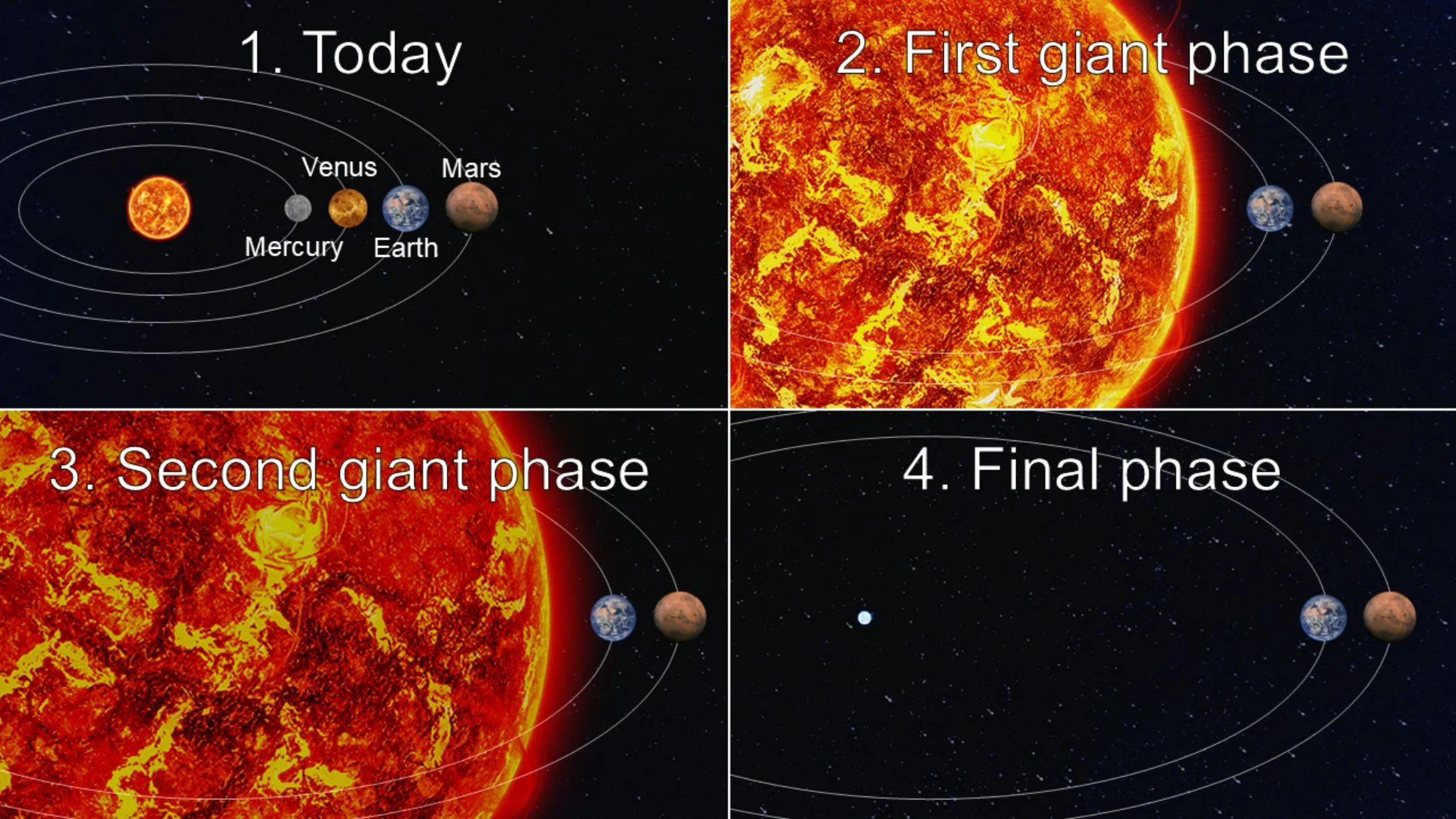 A diagram showing what the phases of the sun dying are.