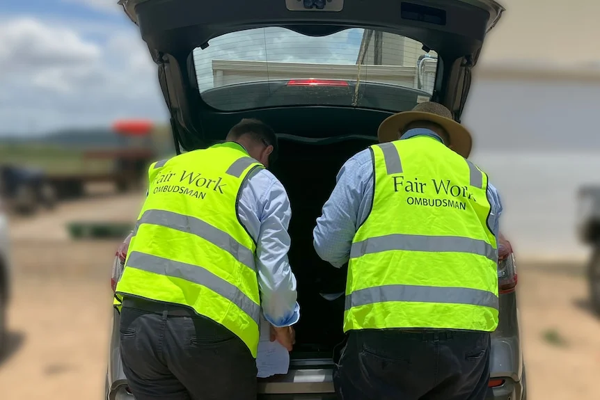 The backs of two inspectors with Fair Work Ombudsman written on high vis green vests at a vehicle with a raised back door.