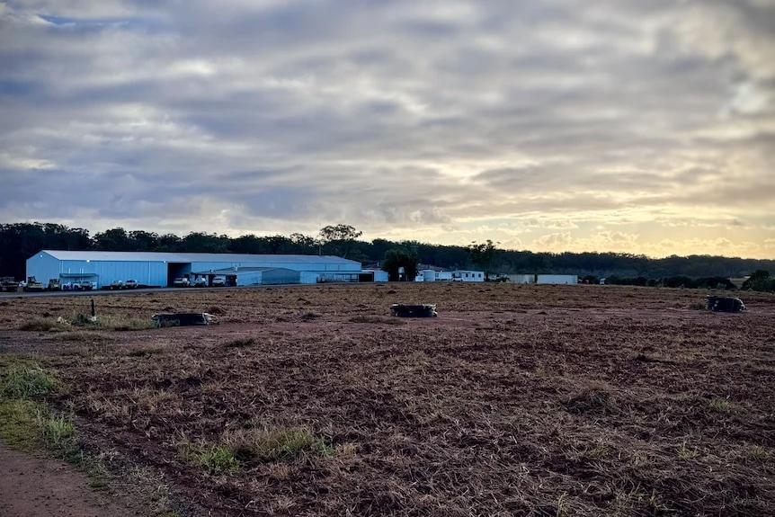 An abandoned field with a big shed and buildings in the distance. The morning sky is moody.