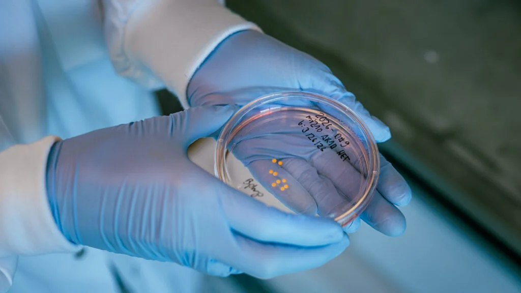 STAT+: Brain organoids, kept alive more than five years, matured like human brains