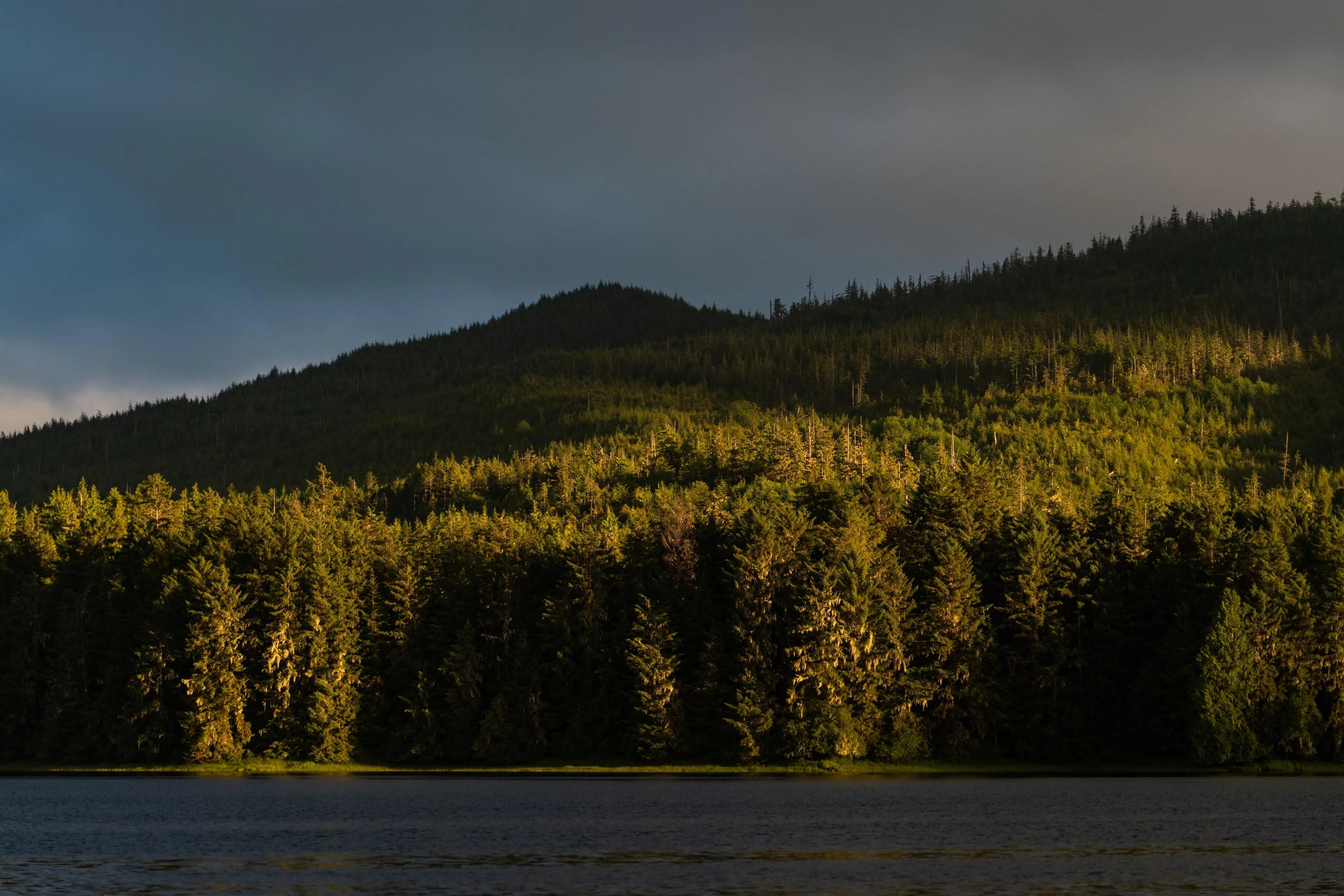 The Tongass National Forest is seen during sunset.