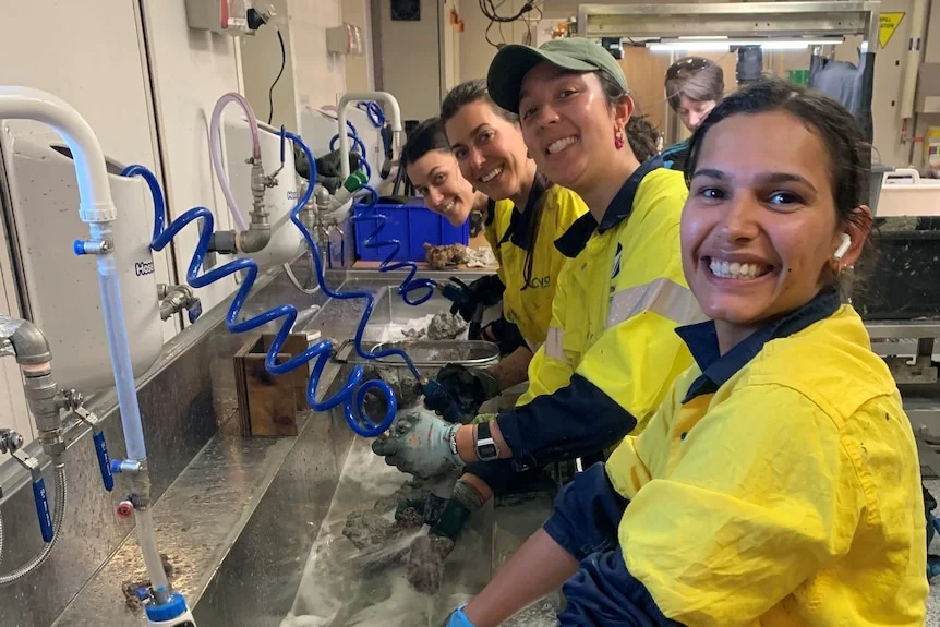 Several people in bright yellow shirts standing by a dirty sink with gloves on smiling