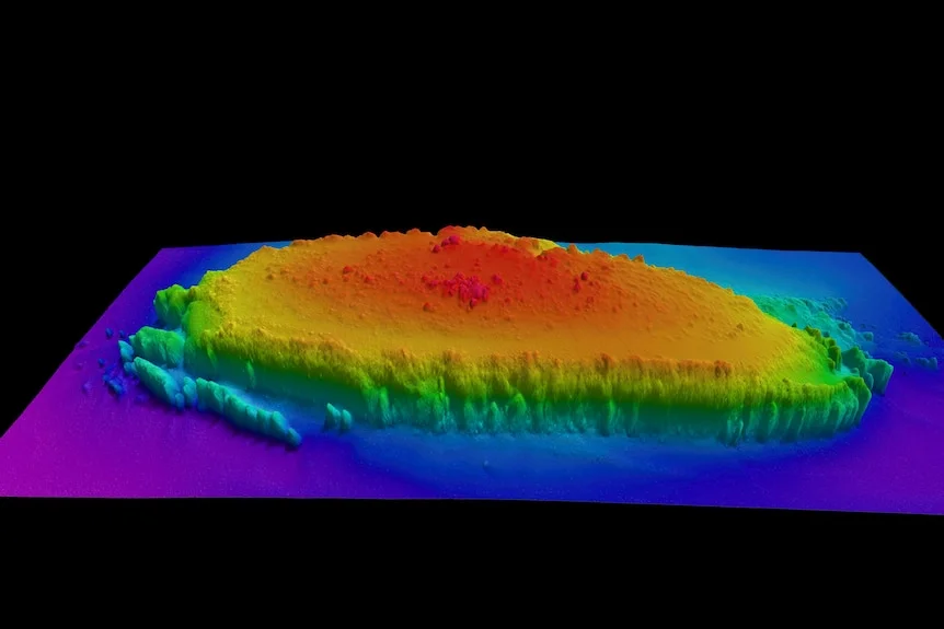 A graphic shows a submerged coral reef.