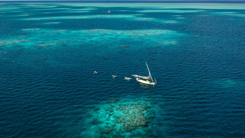 Traditional fishing boats sail past a coral reef.