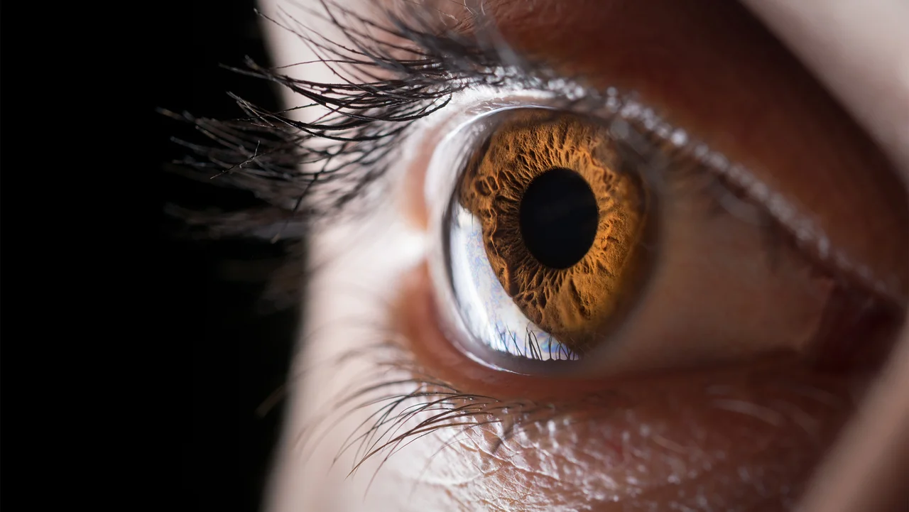 Meet the scientists 3D printing corneas to restore people's vision, potentially filling a worldwide shortage of transplantable tissue