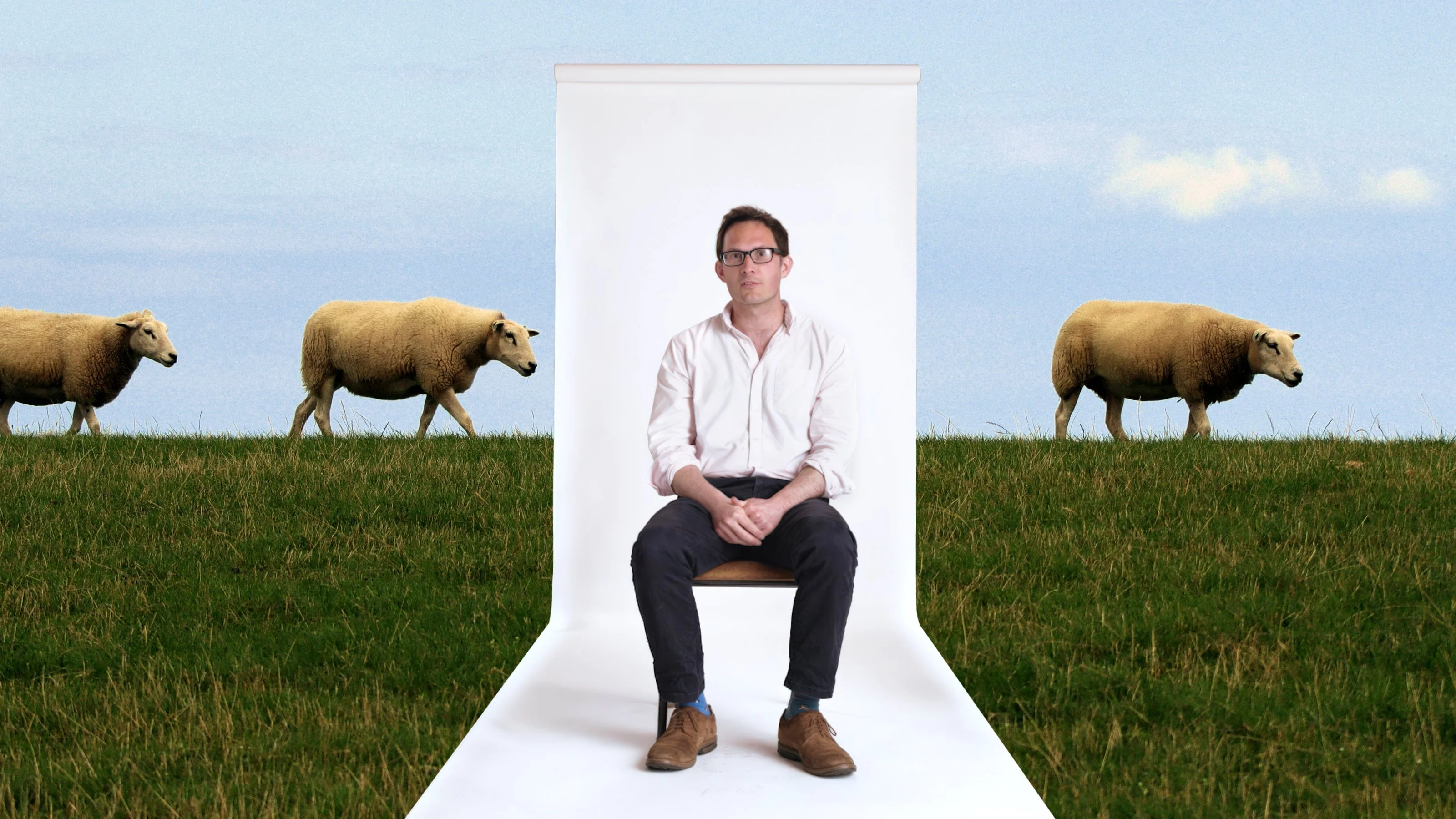 A man sits on a chair in front of a white backdrop placed in a grassy field with three sheep grazing in the background.
