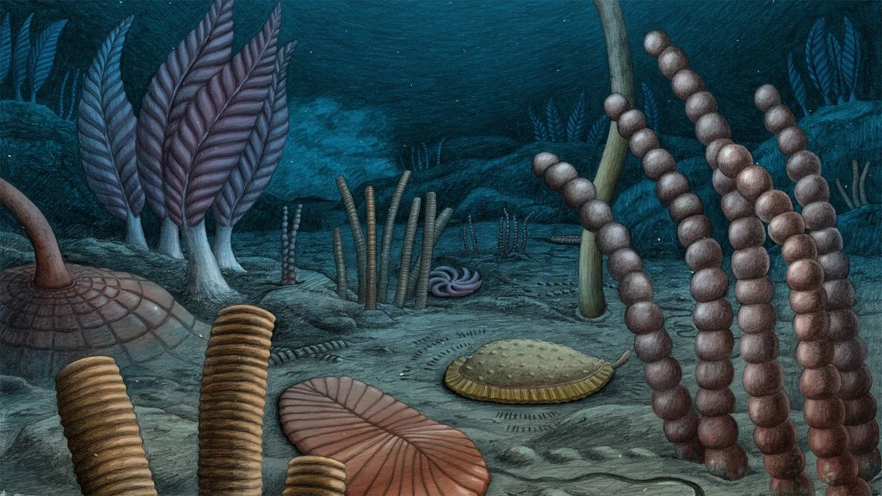 Fossil Discovery Reveals Complex Animal Evolution Dates Pushed Back by 10 Million Years