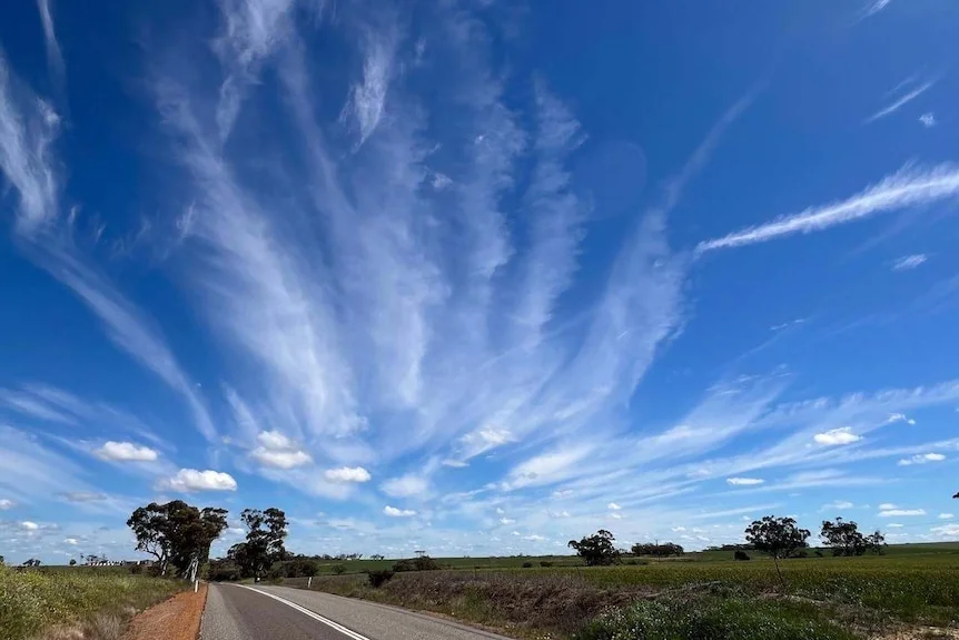 Blue skies and wispy clouds are seen over a road