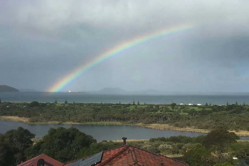 A rainbow can be seen in a grey sky over trees and the sea