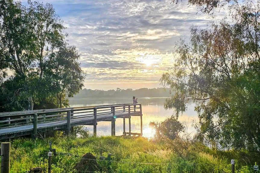 A person stands on a pier over a lake, surrounded by thick green foliage