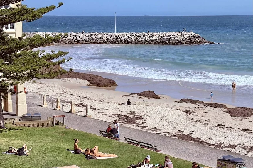 Several people, some in swimsuits, gather at the foreshore of a beach in the sunshine