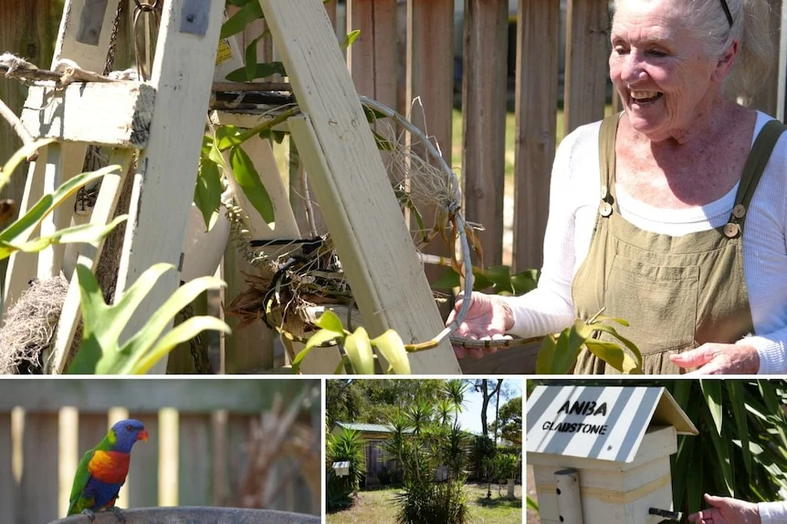 A mature woman smiling at pot plants stacked on an older ladder in front of a garden fence.