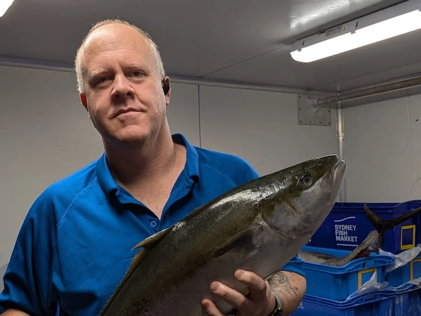 A man in a blue shirt holds a large fish inside a cool room.