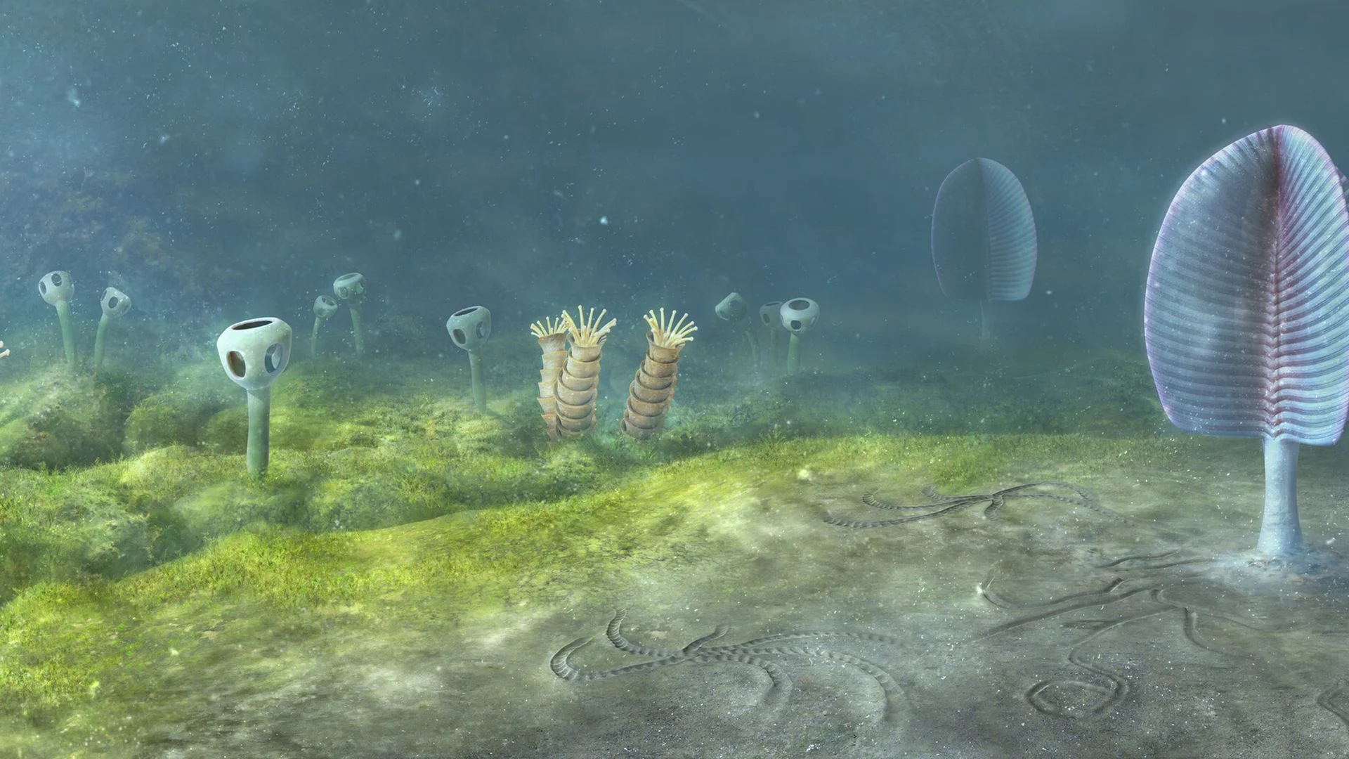 Animals may have evolved 200 million years earlier than previously thought, new study suggests