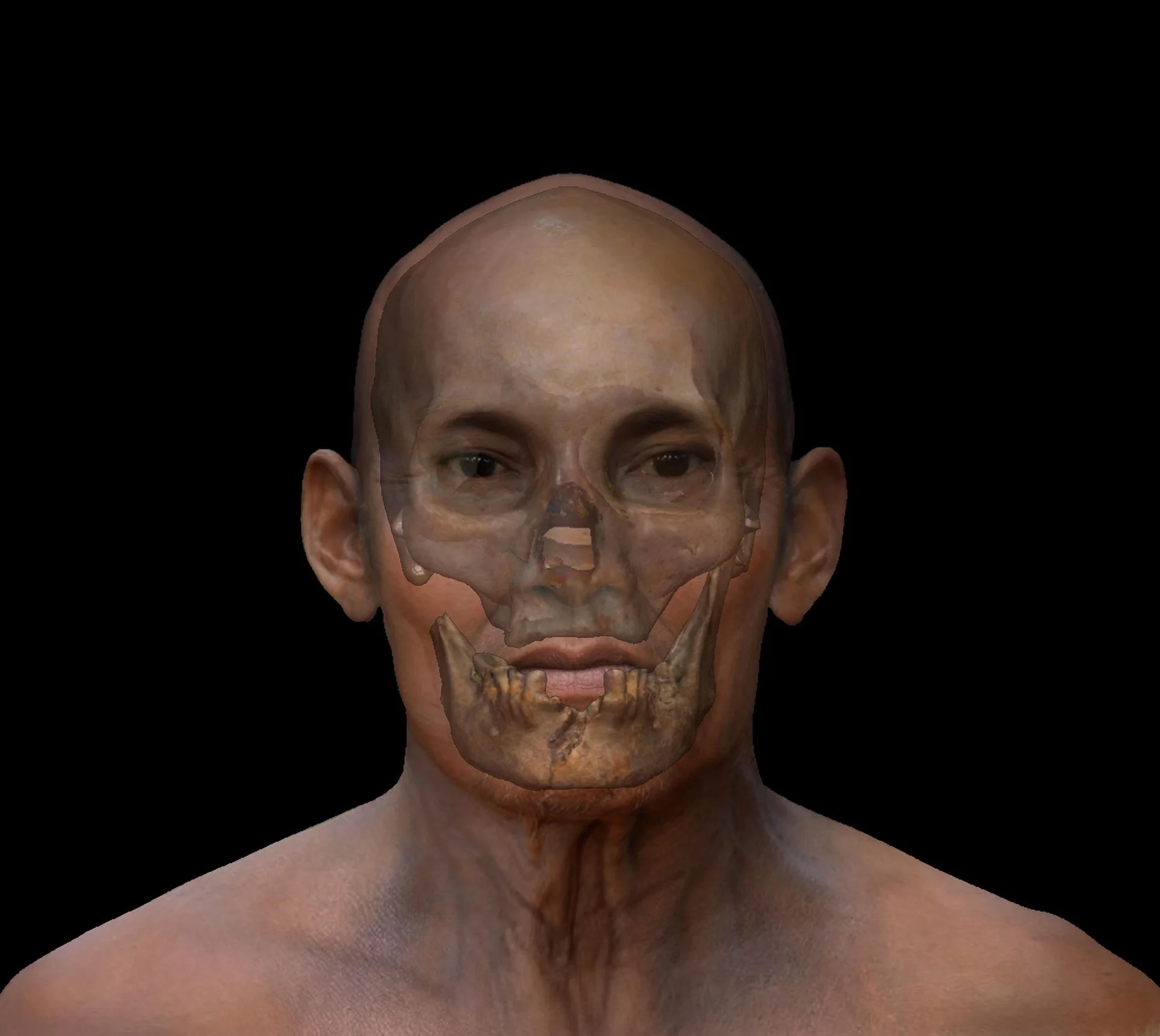 An illustration of a man's face with a skull superimposed on the top.