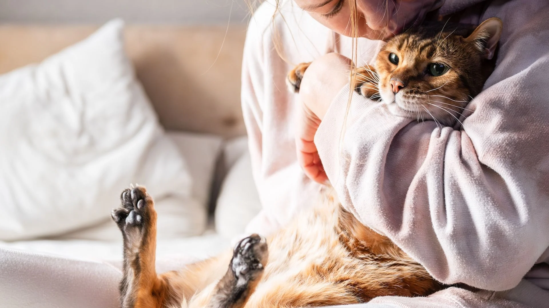 a woman hugs a cat