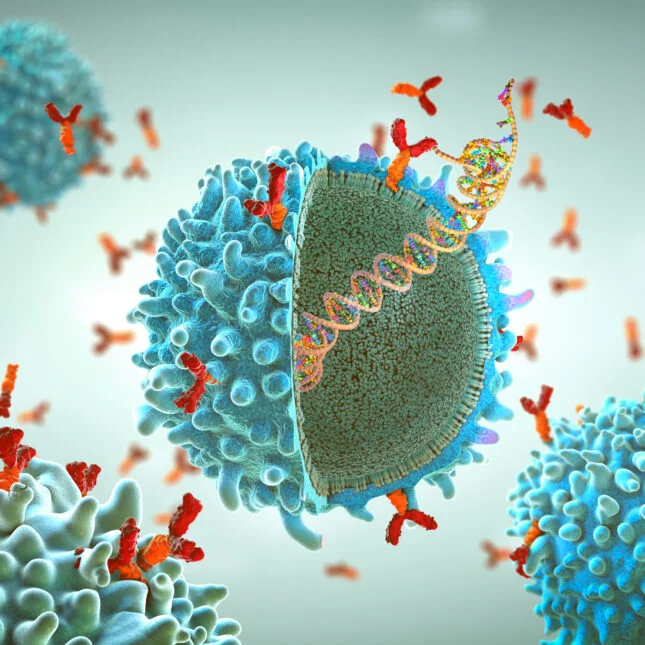 3d illustration of genetically engineered chimeric antigen receptor immune cell with implanted mrna gene strand