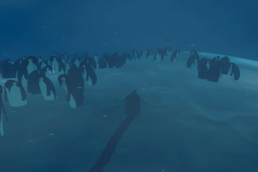 Penguin Colony