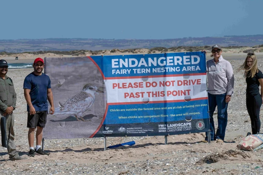 A banner advising drivers of nesting birds