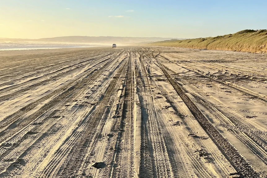 A beach with tyre tracks with a car in the distance.