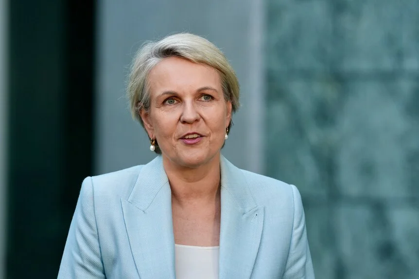 Tanya Plibersek wears a pale-blue suit jacket and white shirt.