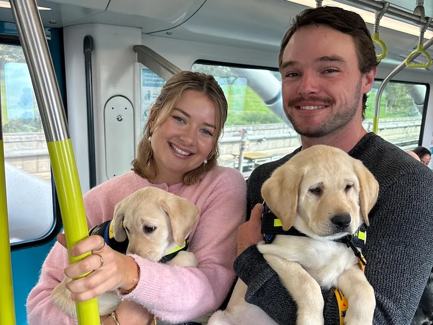 A man and woman holding seeing eye dog puppies