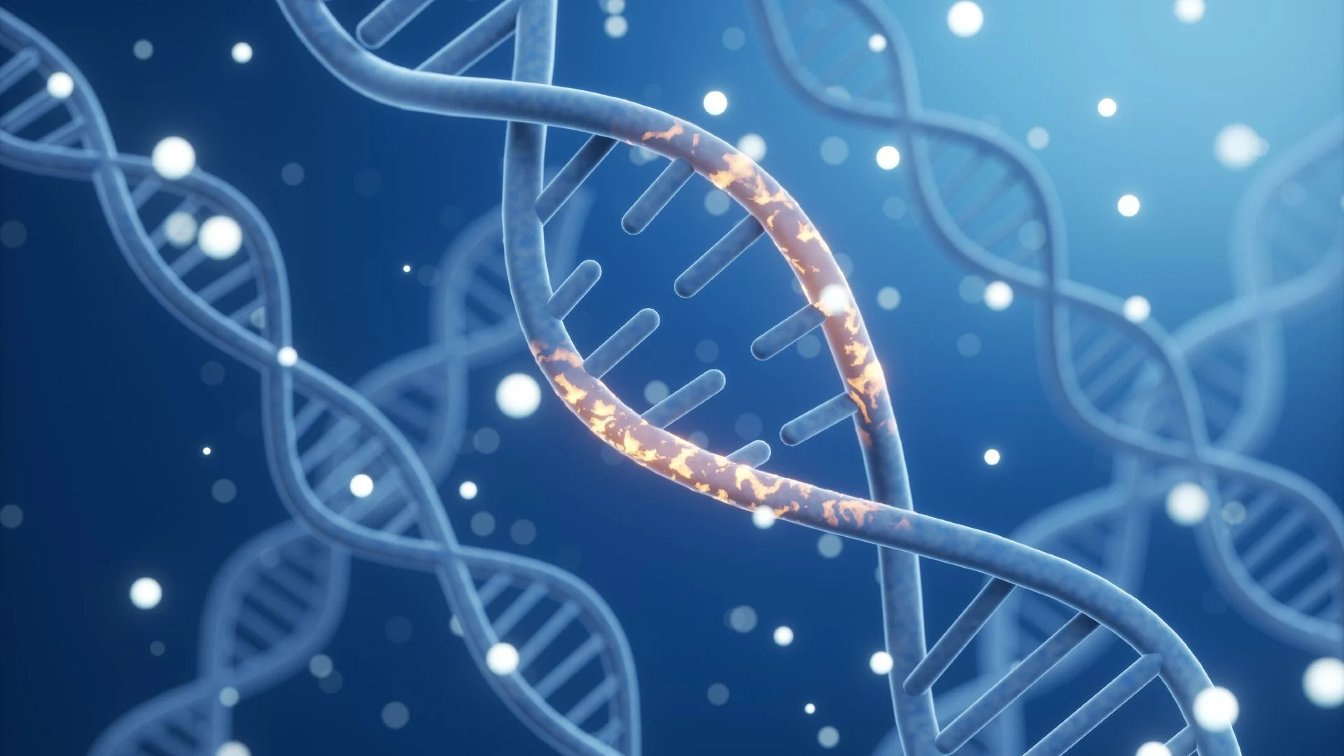 An illustration of blue double-helix strands of DNA