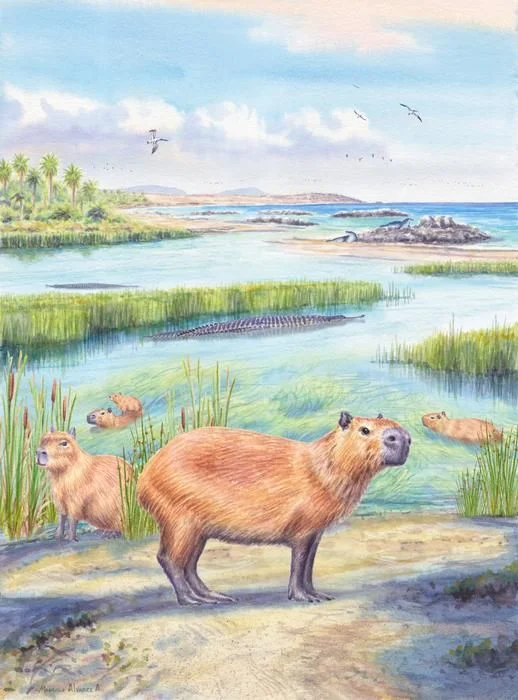 An illustration of several small four-legged mammals next to a river.