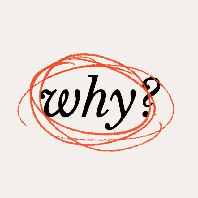 We’re wired to ask why — here’s what we’re really searching for