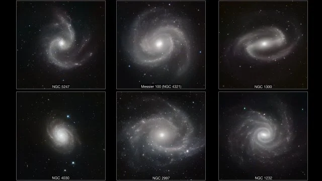 Insights from Physicists: What Do Surveys Really Show?