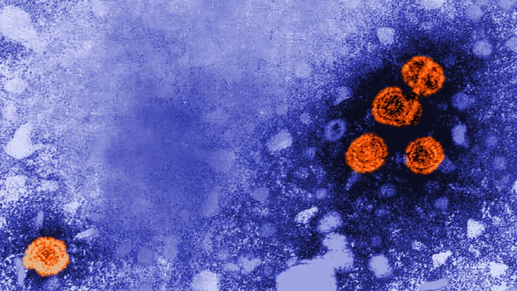 Promising Results from Experimental Hepatitis B Treatment Show Functional Cure in 20% of Patients